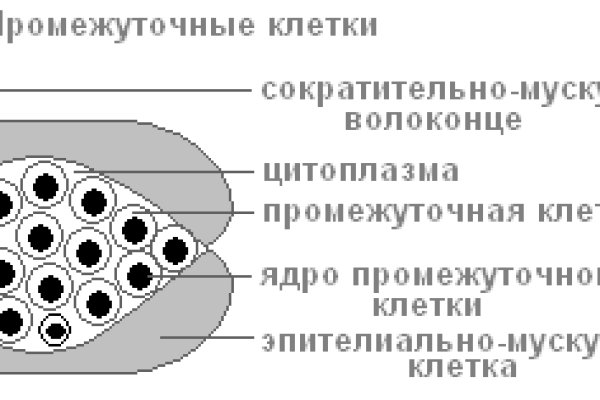 Кракен актуальные