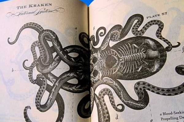 Kraken 13 at ссылка