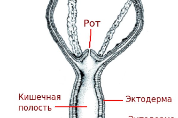 Кракен сайт дарк нет