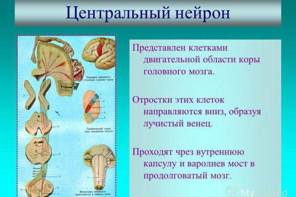 Кракен ссылки тор рабочая