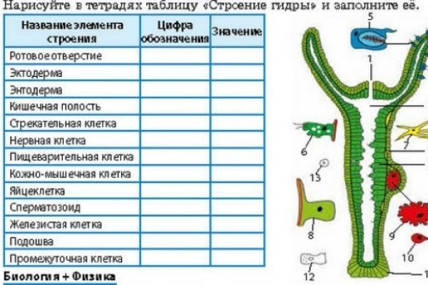 Ссылка на кракен даркнет